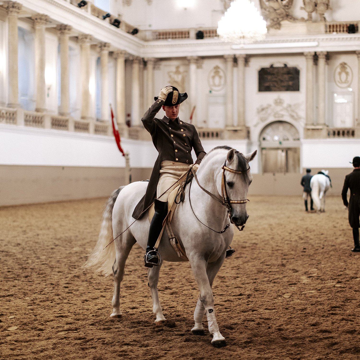Spanische Hofreitschule in Wien, Reiter in Uniform auf einem weißen Lipizzaner bei einer Vorführung in der barocken Winterreitschule mit prunkvollem Kronleuchter.