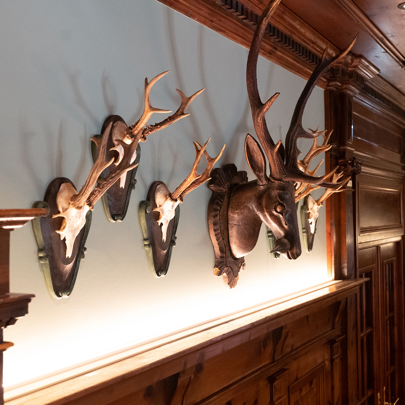 Klassisch eingerichtete Jagdstube oder ein rustikales Interieur mit dekorativen Jagdtrophäen an der Wand. Die Wand ist mit einer Reihe von Geweihen und Schädeln verziert, wobei in der Mitte ein besonders auffälliges, geschnitztes Hirschkopfrelief mit imposantem Geweih hervorsticht.
