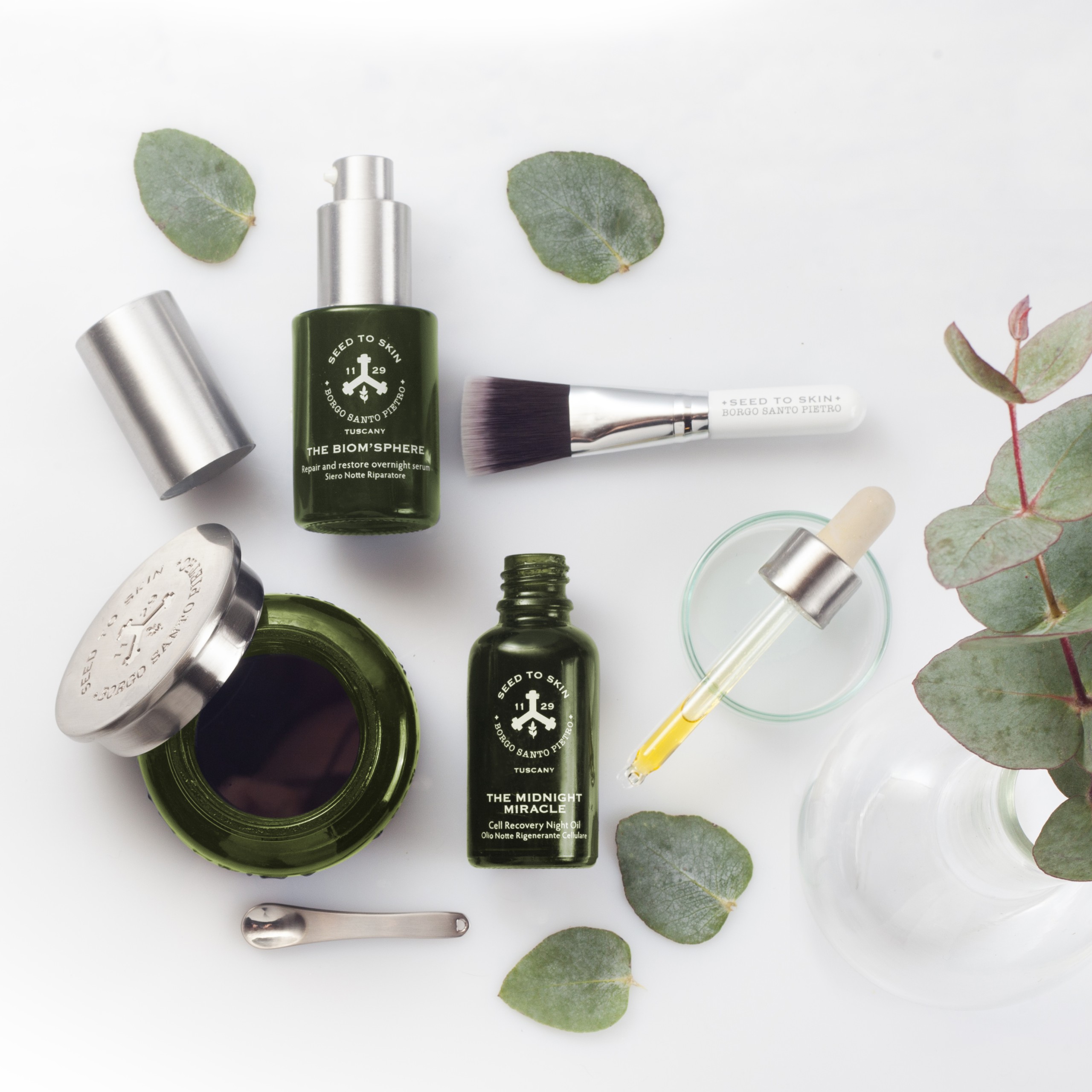 Diverse Pflegeprodukte von Seed to Skin, darunter Seren, ein Pinsel und eine Pipette, arrangiert auf einer weißen Fläche mit grünen Blättern als Dekoration.