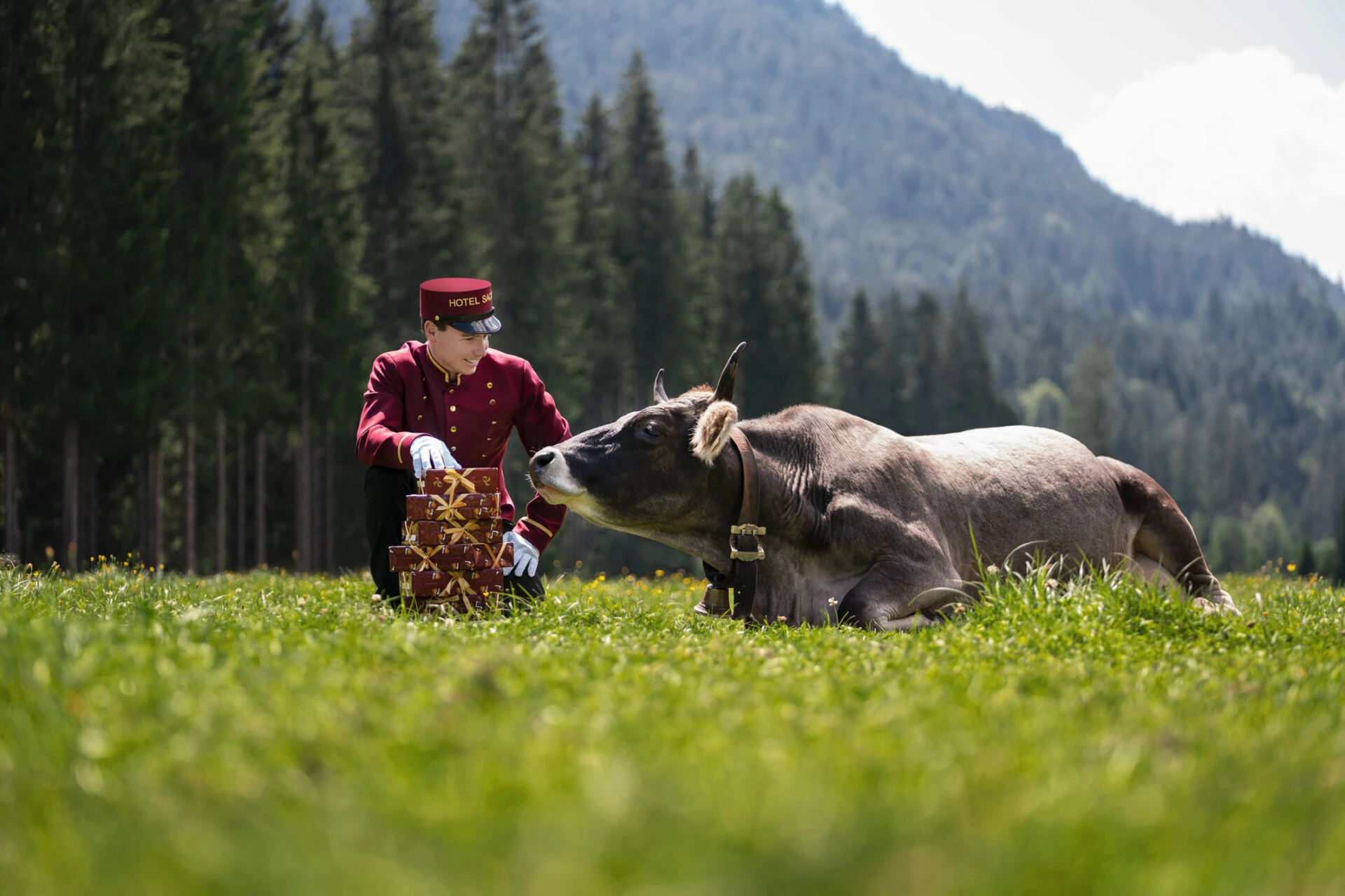 Ein Hotelpage in roter Uniform sitzt auf einer Wiese neben einer liegenden Kuh und einem Stapel Sacher-Pralinen, umgeben von Berglandschaft.