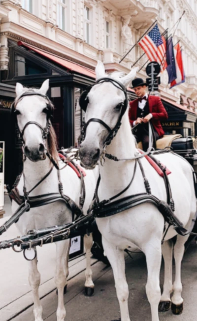 Vor dem Haupteingang des Hotels steht eine Kutsche mit 2 weißen Pferden, die in die Kamera schauen.