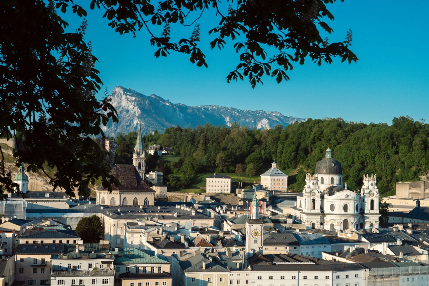 Barocke Altstadtkulisse Salzburgs mit der Kollegienkirche und dem Mönchsberg im Hintergrund, eingerahmt von Bäumen und den Alpen.