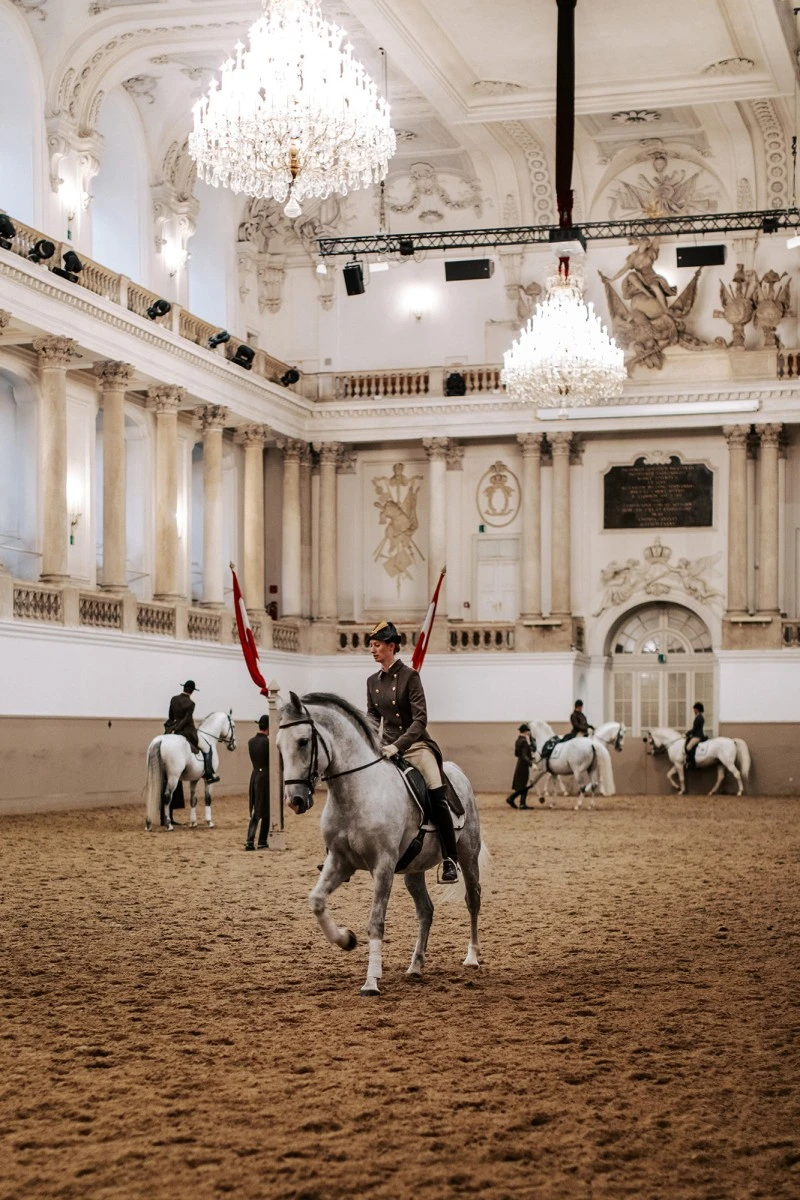 Reiterin auf einem Lipizzaner in der Spanischen Hofreitschule in Wien, umgeben von prächtigem Barockinterieur mit großen Kronleuchtern und klassizistischen Säulen.