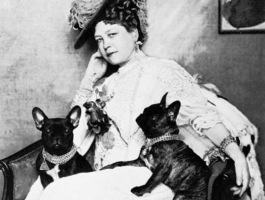 Hotel Sacher, Geschichte Historisches Foto der Anna Sacher - Sie sitzt auf einem Sessel mit zwei französischen Bulldoggen, beide mit verzierten Halsbändern