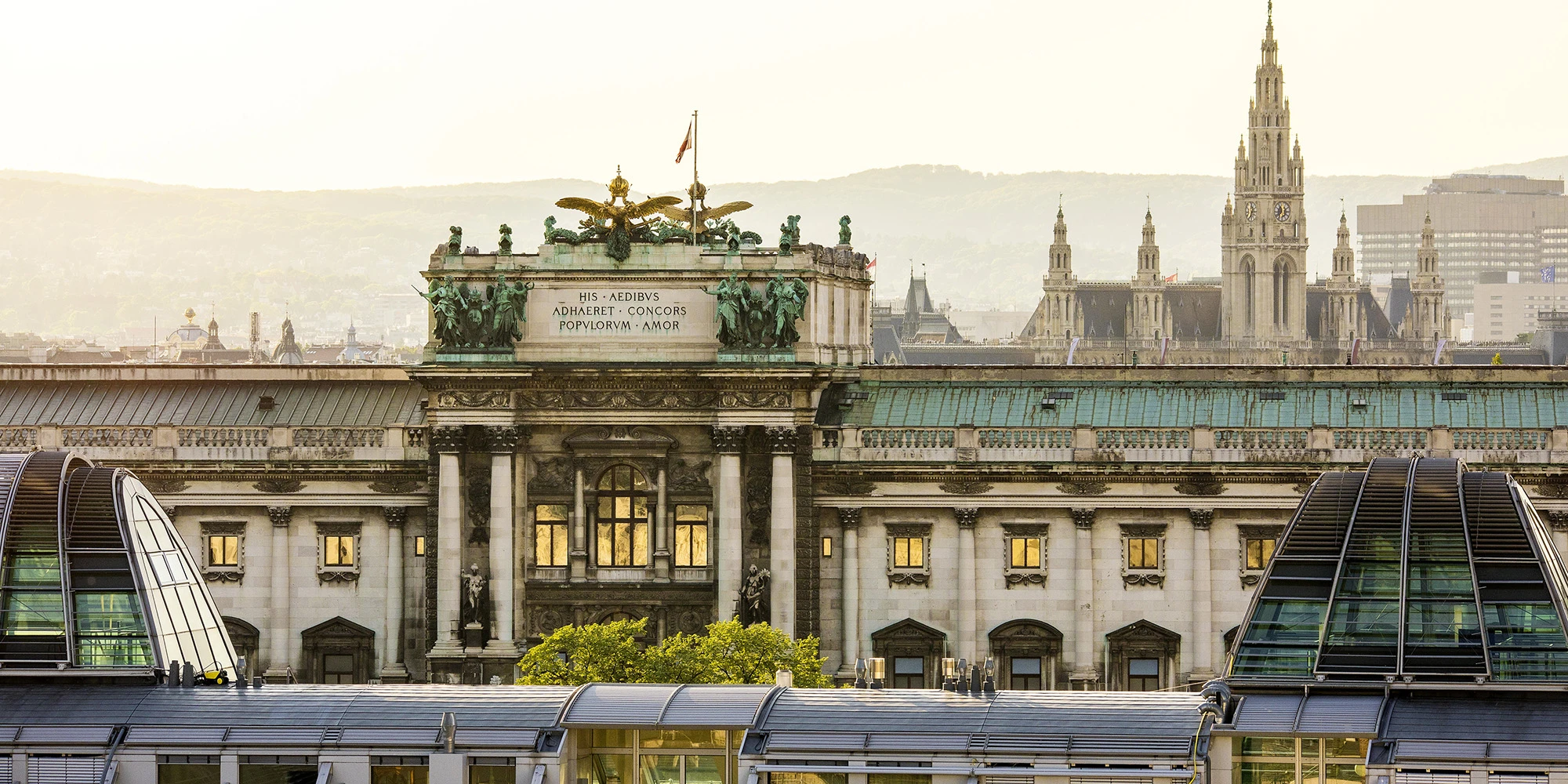This is a scenic view of the Neue Burg section of the Hofburg Palace in Vienna, with the Vienna City Hall (Rathaus) visible in the background.