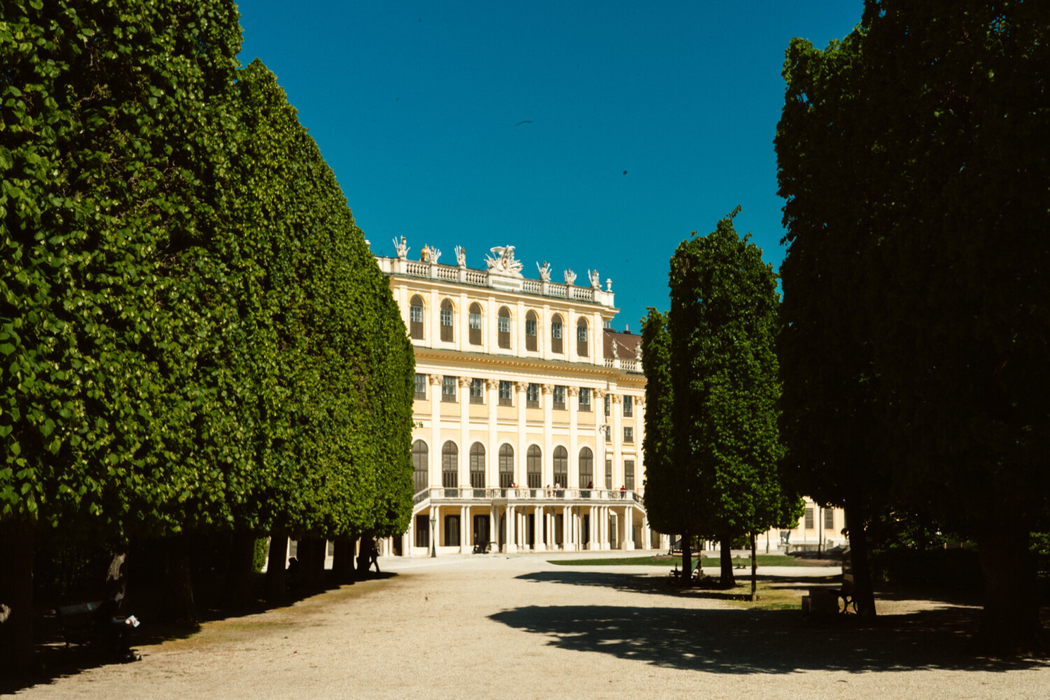 Schönbrunn Palace front view: Ornate yellow facade with numerous windows and roofline statues under a clear blue sky, framed by two blossoming red-flowered trees in the foreground.