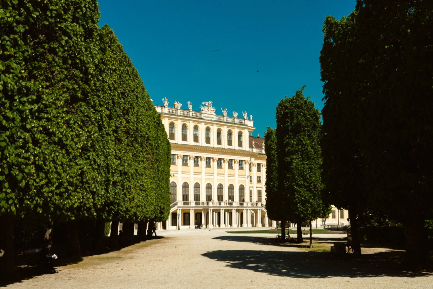 Schönbrunn Palace front view: Ornate yellow facade with numerous windows and roofline statues under a clear blue sky, framed by two blossoming red-flowered trees in the foreground.