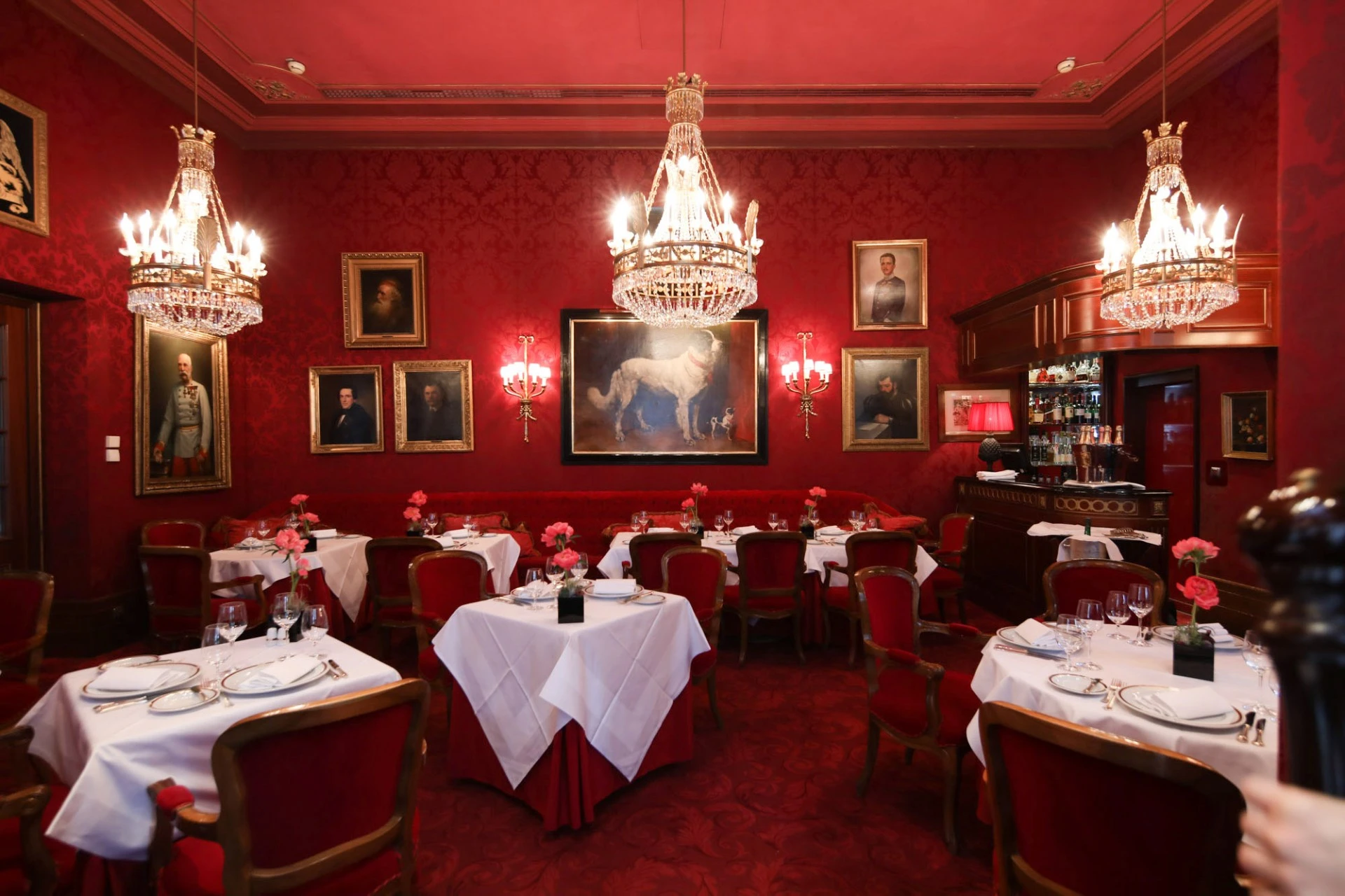 The Rote Bar offers elegant dining surrounded by red velvet, chandeliers, and imperial portraits.