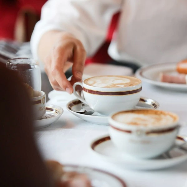 A hand reaches for a cappuccino in a classic Viennese coffeehouse setting.