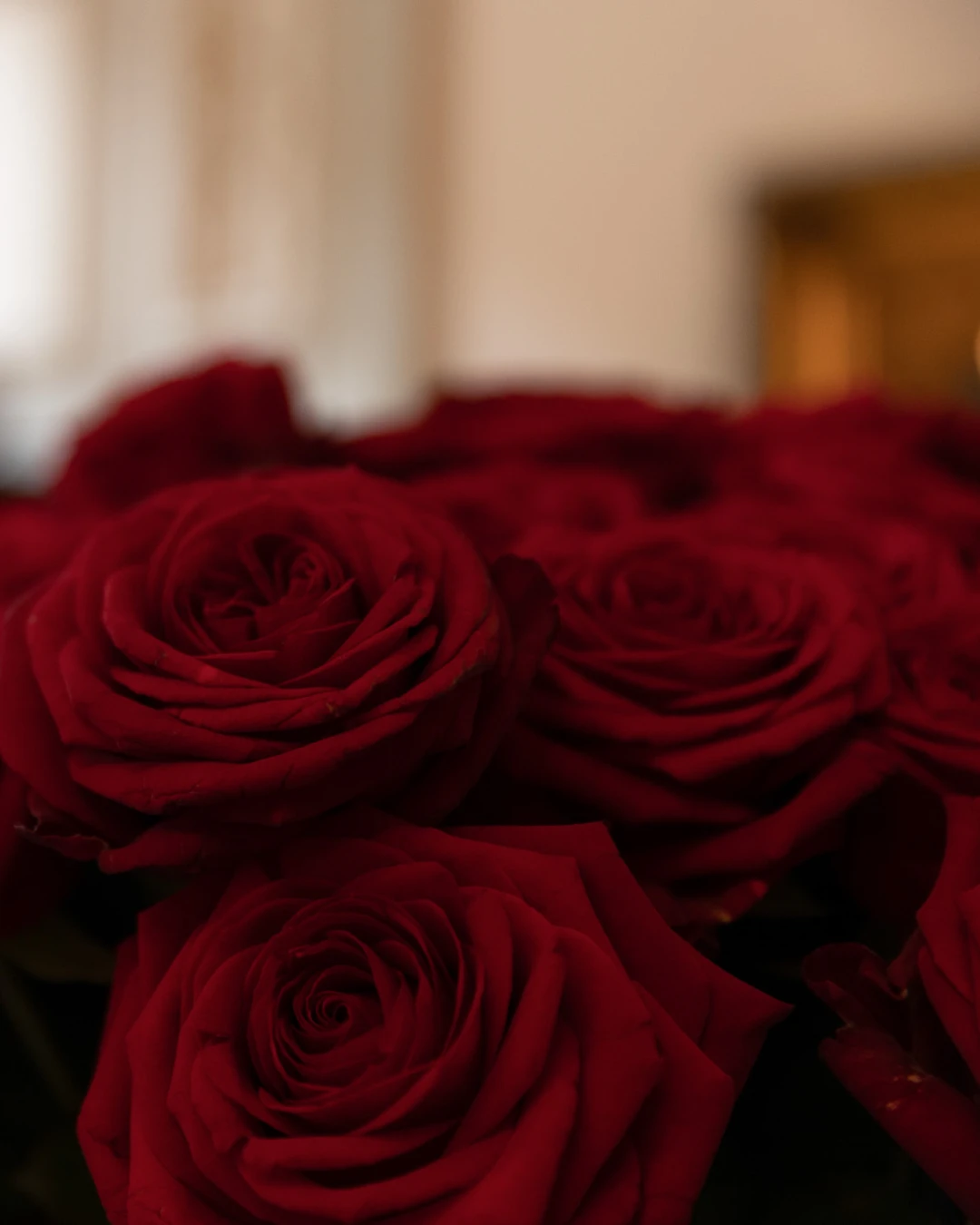 Bouquet of red roses