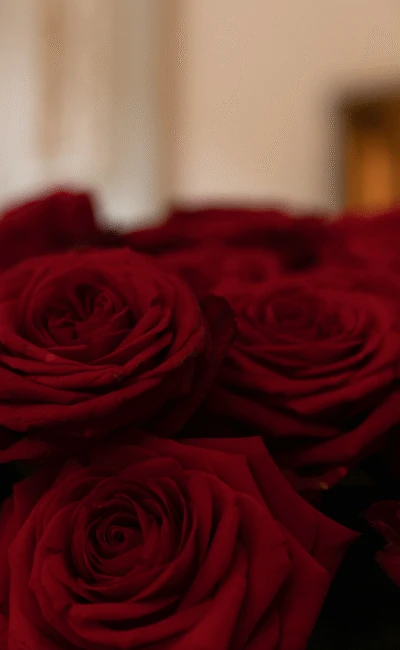 Bouquet of red roses