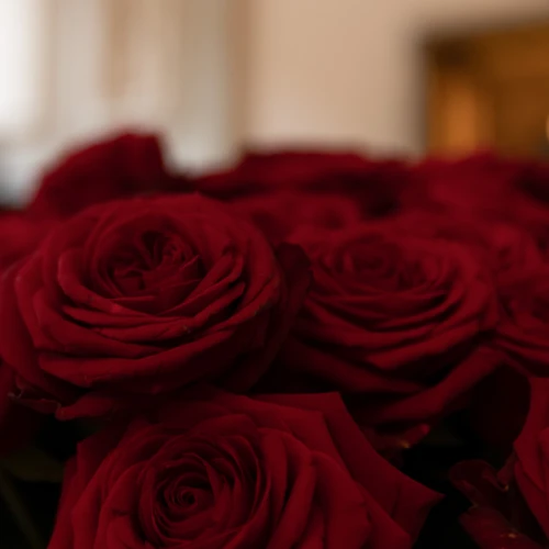 Bouquet of red roses