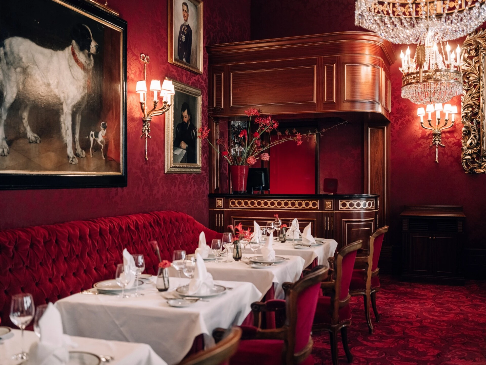 Festively set Restaurant Rote Bar at Hotel Sacher Vienna with crystal chandeliers, red velvet seating, gold chairs and white floral arrangements.