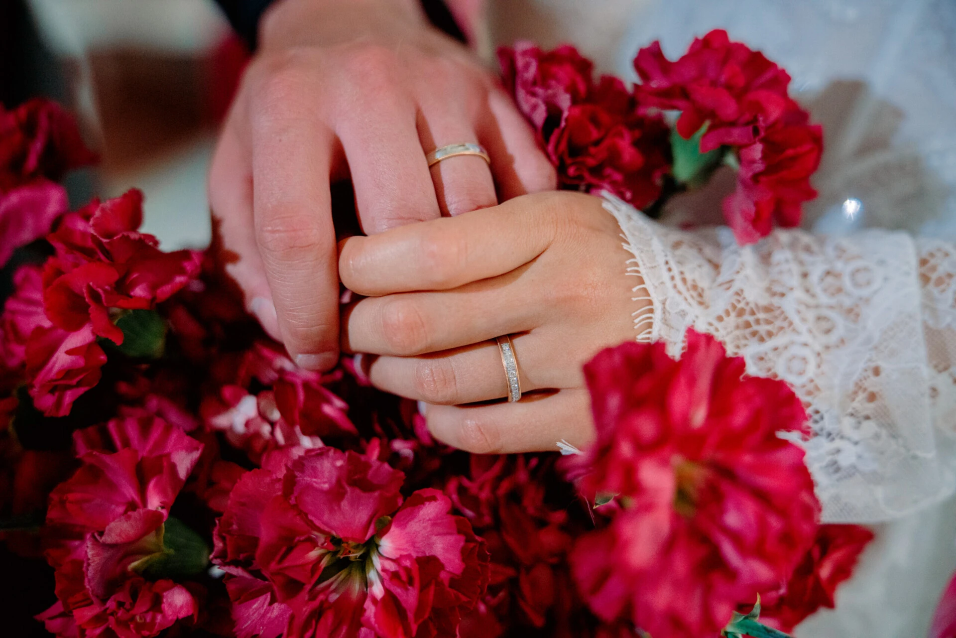 A close-up of a bride and groom's hands wearing wedding rings, surrounded by red flowers.