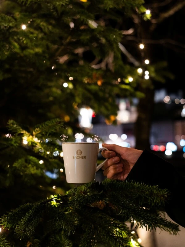 A hand holds a white Sacher mug in front of a festively decorated Christmas tree with fir branches and twinkling lights.