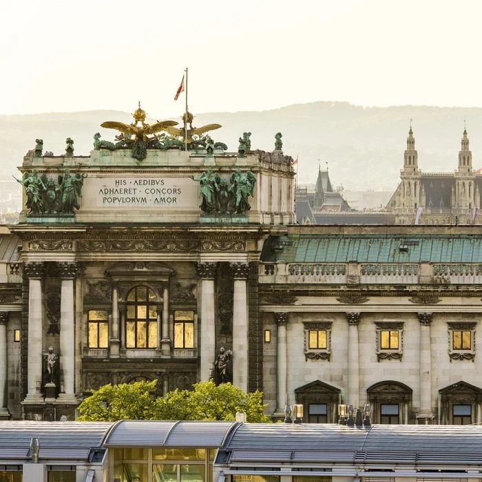 This is a scenic view of the Neue Burg section of the Hofburg Palace in Vienna, with the Vienna City Hall (Rathaus) visible in the background.