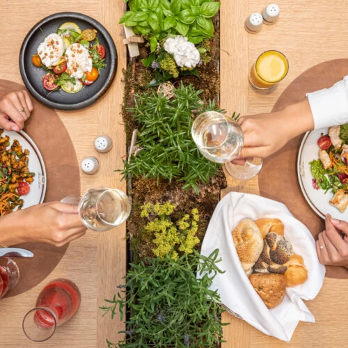 Two diners toast over vibrant, garden-fresh salads and rustic bread in a setting enhanced by a lush herb centerpiece.