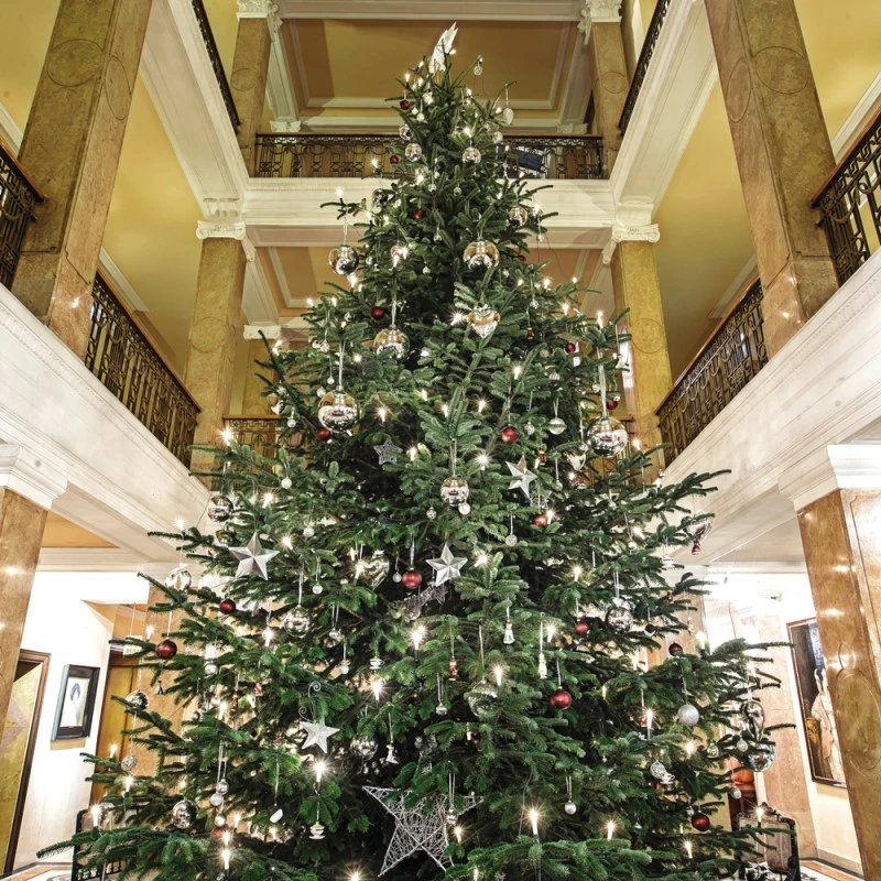A grand Christmas tree adorned with shimmering ornaments and lights stands majestically in the elegant lobby of Hotel Sacher Salzburg.