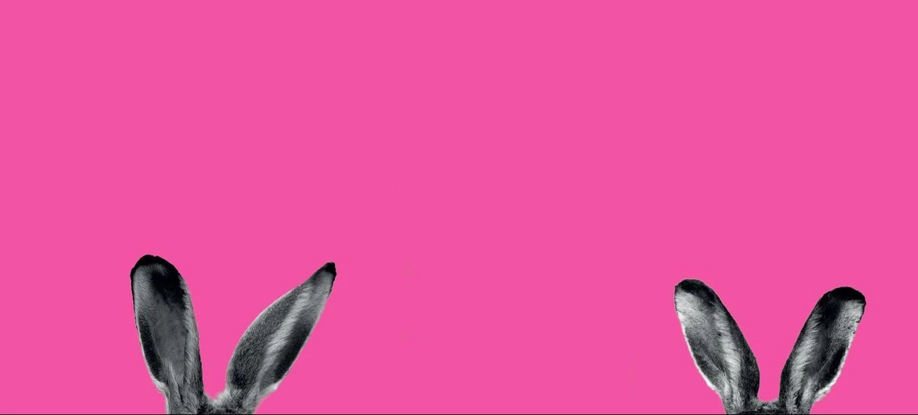 A playful image featuring two pairs of rabbit ears peeking from the bottom against a bright pink background, inspired by the Hotel Sacher Easter Edition design.